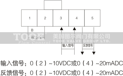 e늄ͨyg